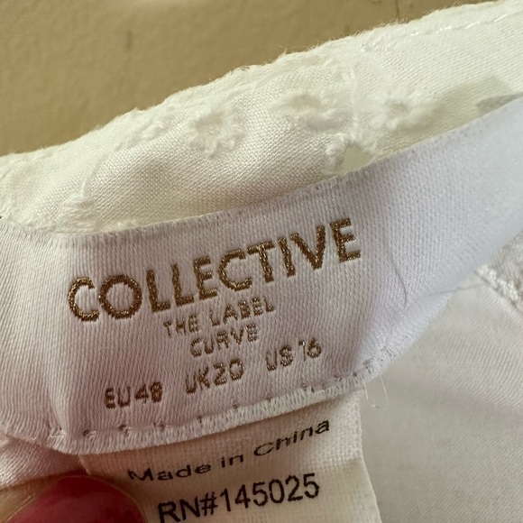 COLLECTIVE THE LABEL CURVE PUFF SLEEVE CUTWORK LACE MINI DRESS size 16 - Picture 6 of 11